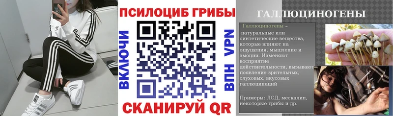 Галлюциногенные грибы MAGIC MUSHROOMS Сарапул